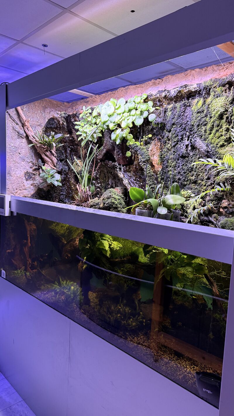 Aquarium du Club d'Aquariophilie de Fondettes