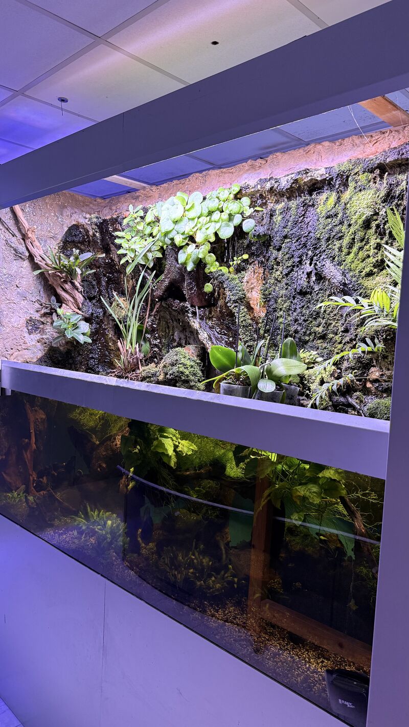 Aquarium du Club d'Aquariophilie de Fondettes