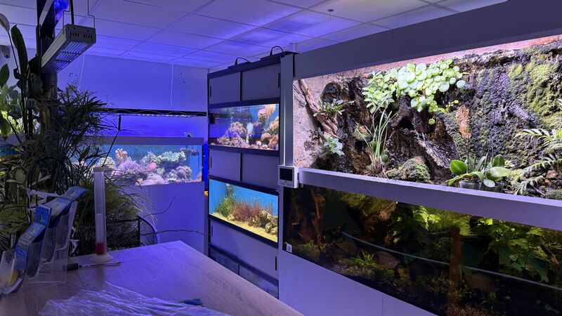 Aquarium du Club d'Aquariophilie de Fondettes
