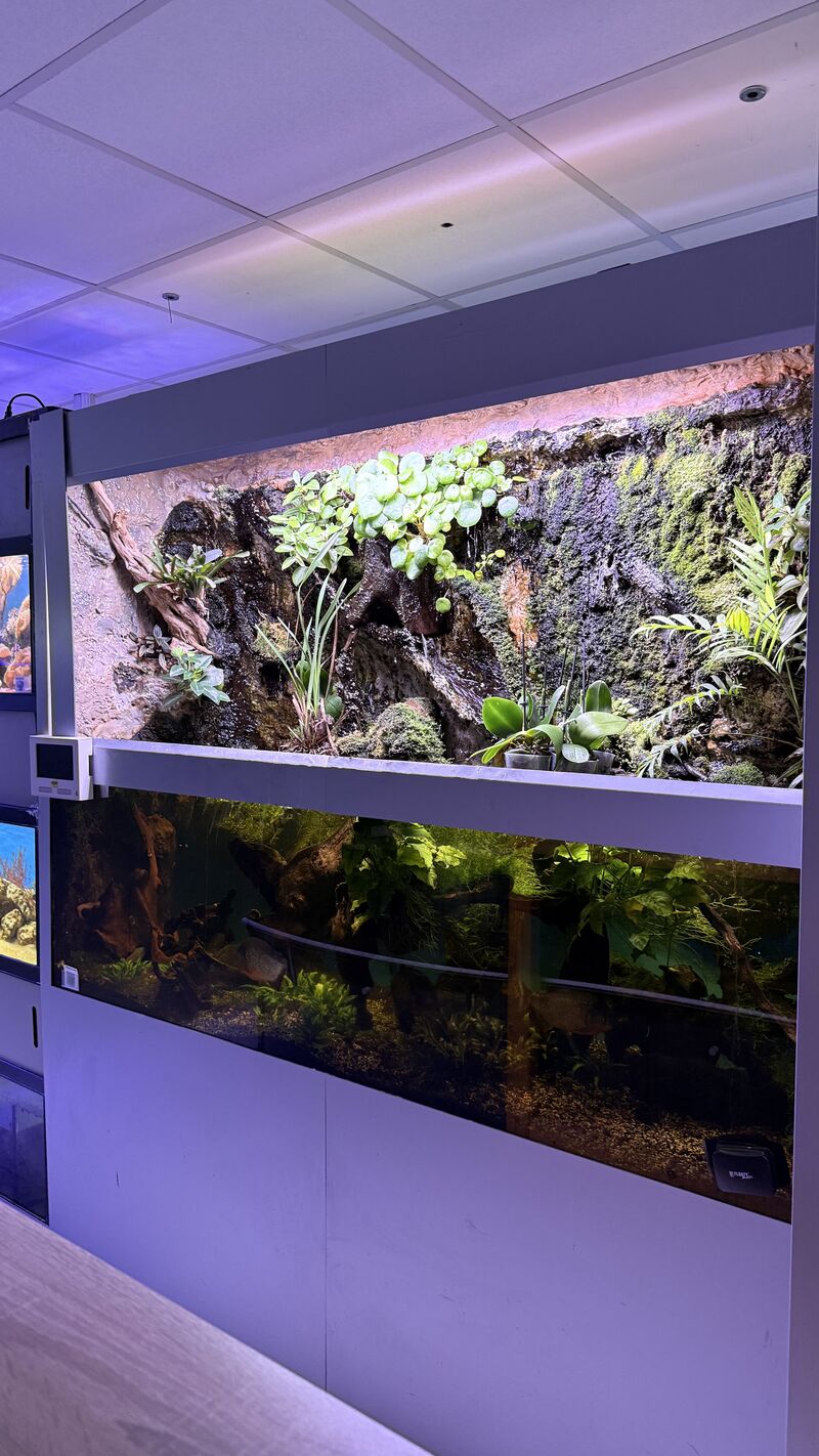 Aquarium du Club d'Aquariophilie de Fondettes