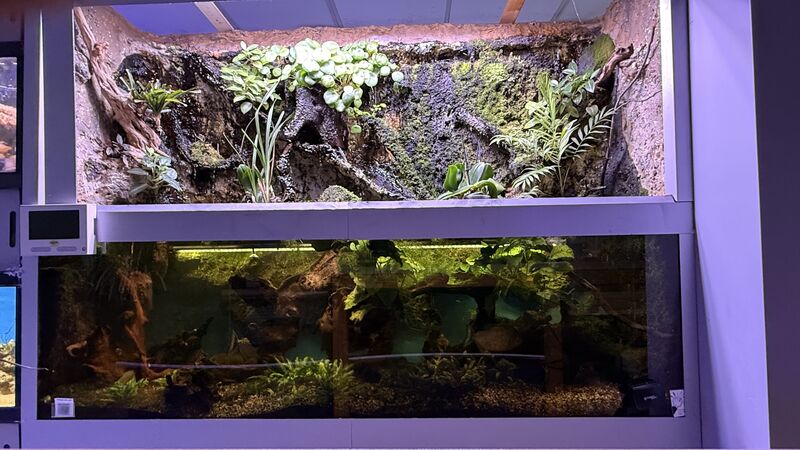 Aquarium du Club d'Aquariophilie de Fondettes