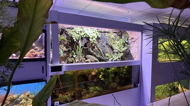 Aquarium du Club d'Aquariophilie de Fondettes