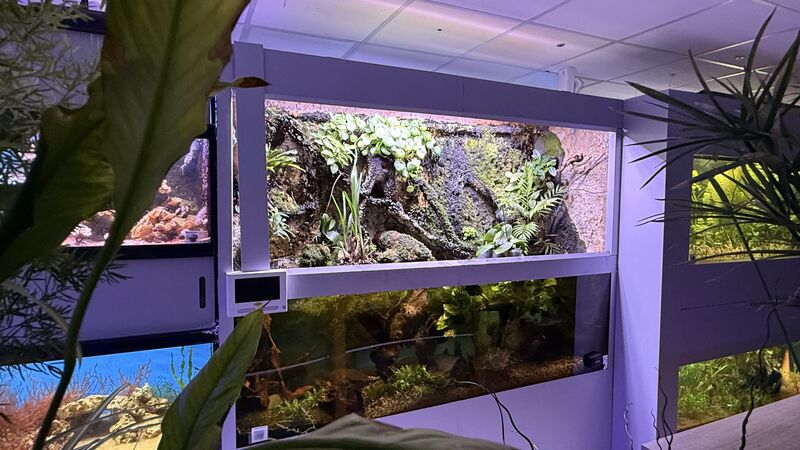 Aquarium du Club d'Aquariophilie de Fondettes