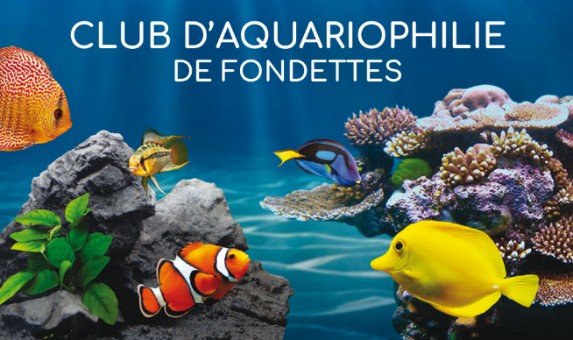 Club d'Aquariophilie de Fondettes